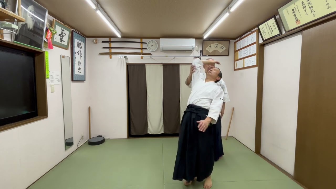 #合気道 #横面打ち四方投げ #剣の理合
