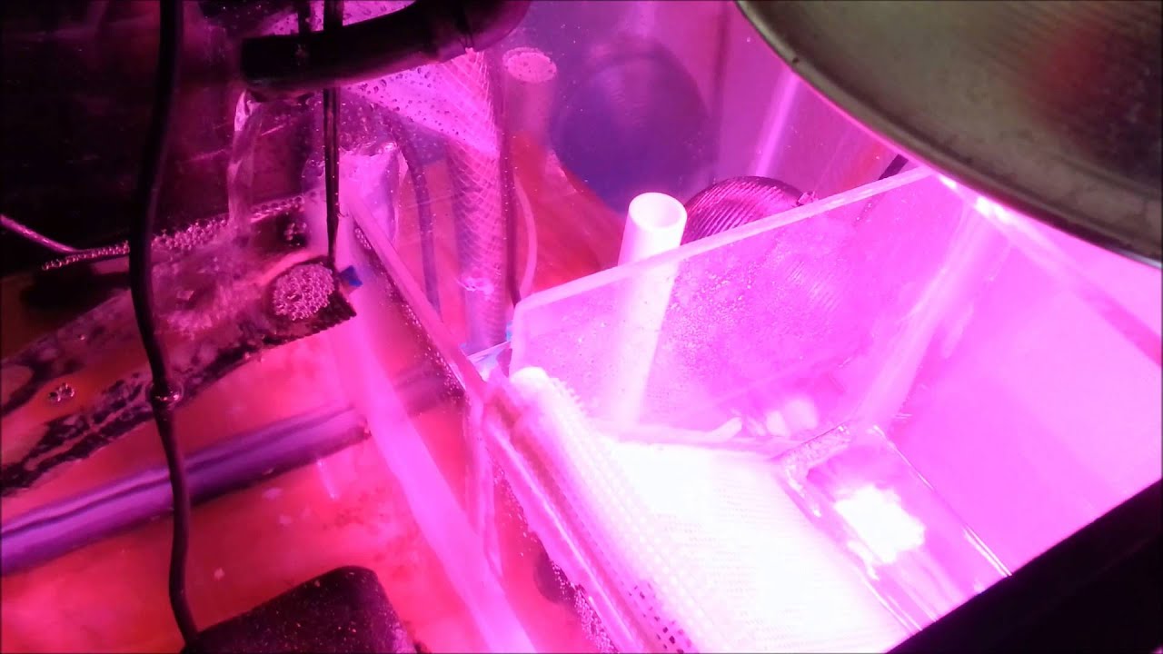 DIY ATS/SURGE/SUMP ALL IN ONE!!! (40 GAL.)