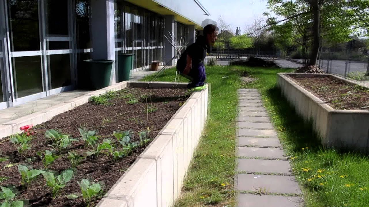 Big Adventure for a strong man