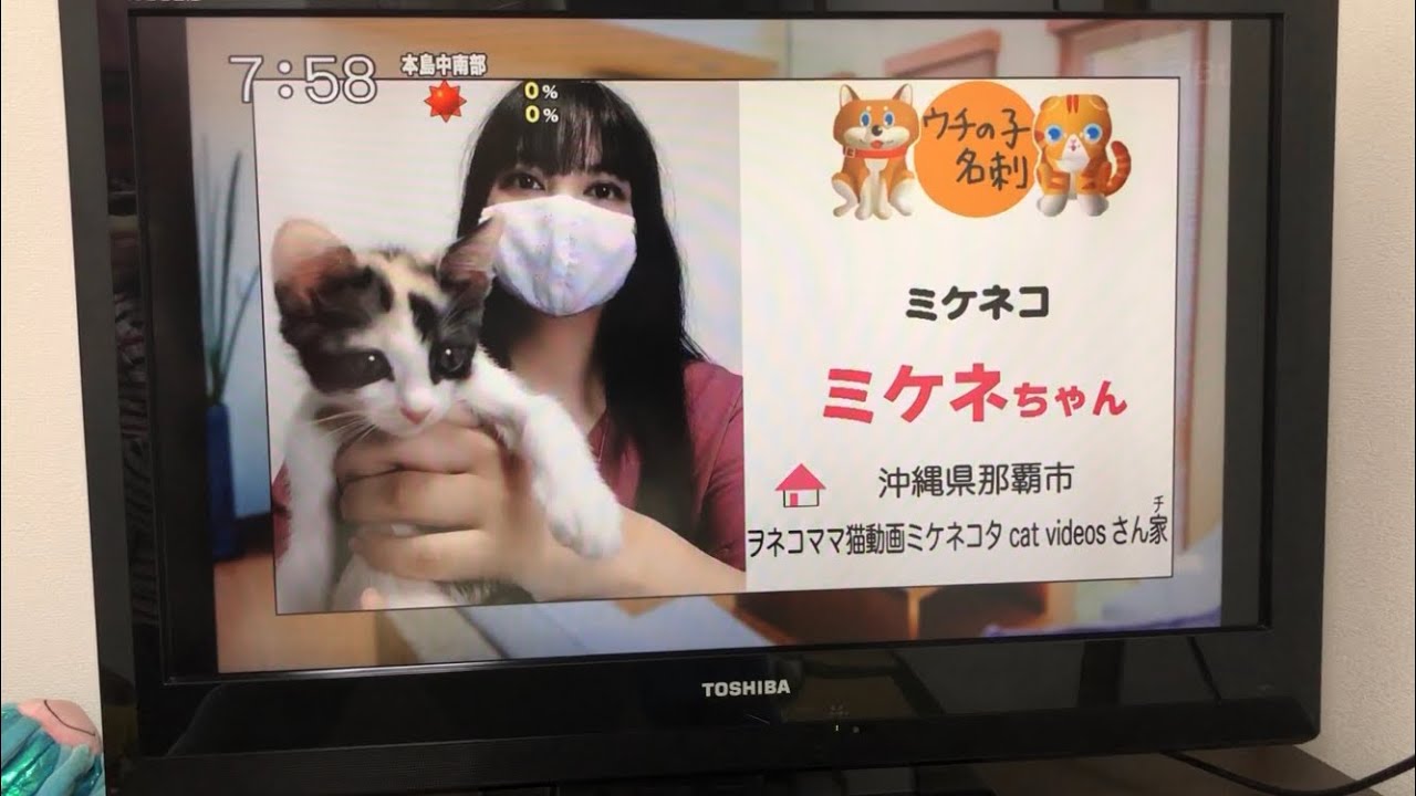 【見逃し配信】TBSあさチャン　けさのウチの子　イリュージョン三毛猫ミケネ2021年2月1日放送。