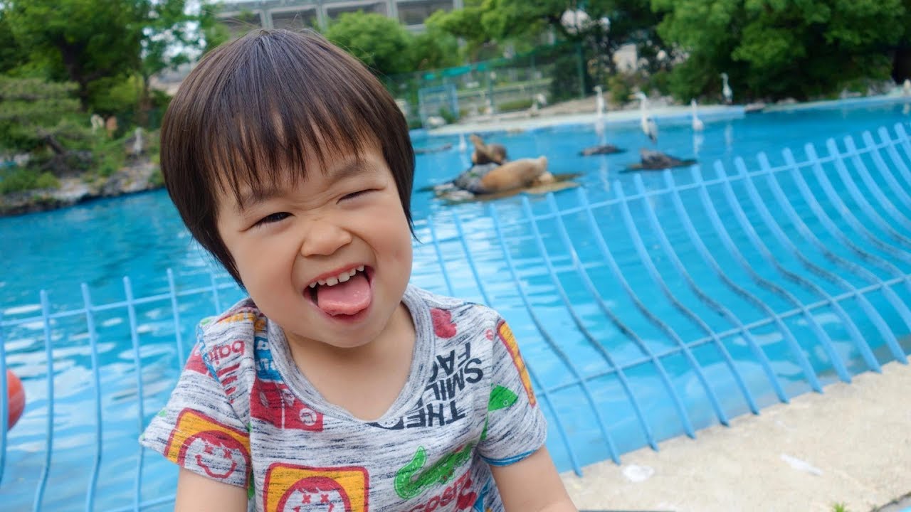 おでかけ 動物いっぱいいたよ！大阪天王寺動物園 レオ★スマイル