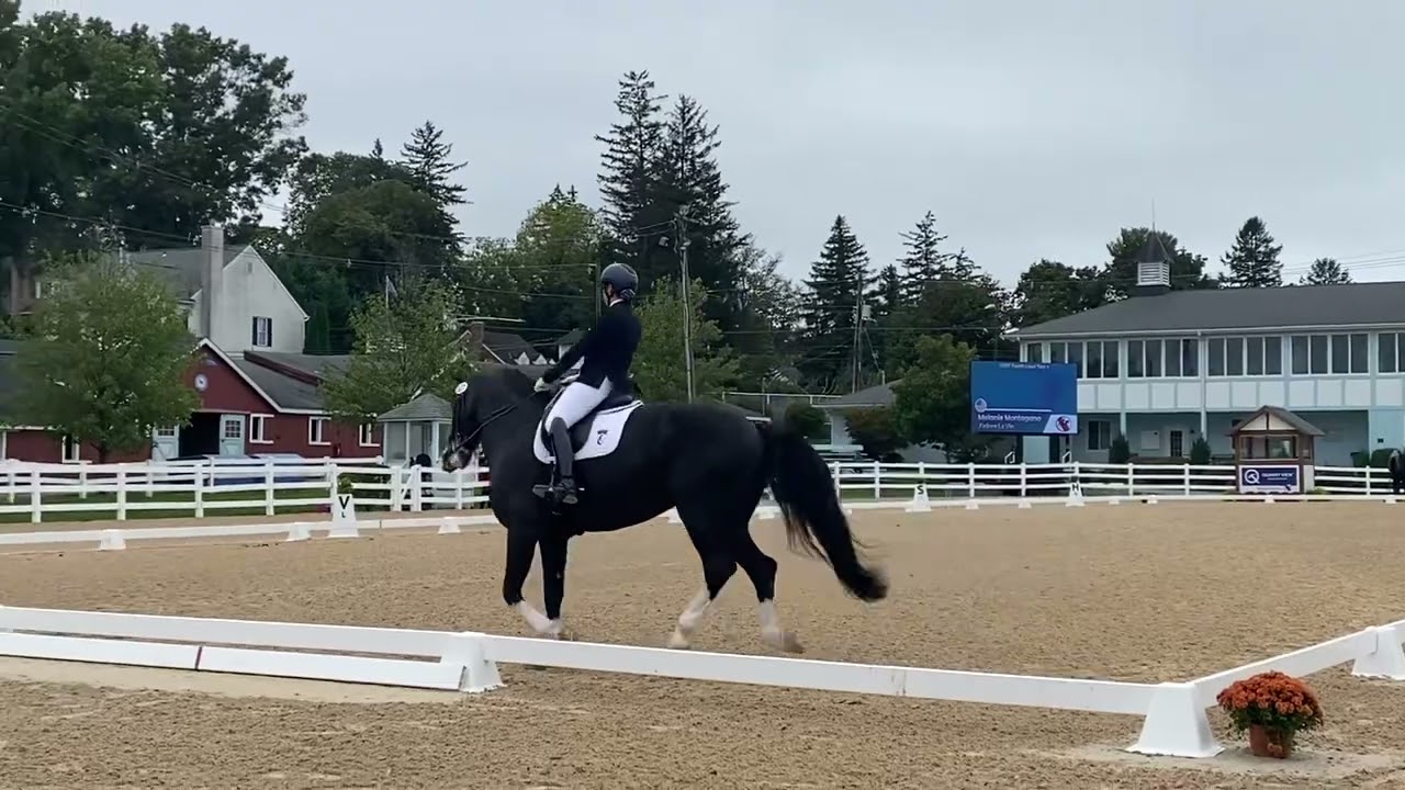 J’adore La Vie DAD 2023 67.105% 4th level Test 1