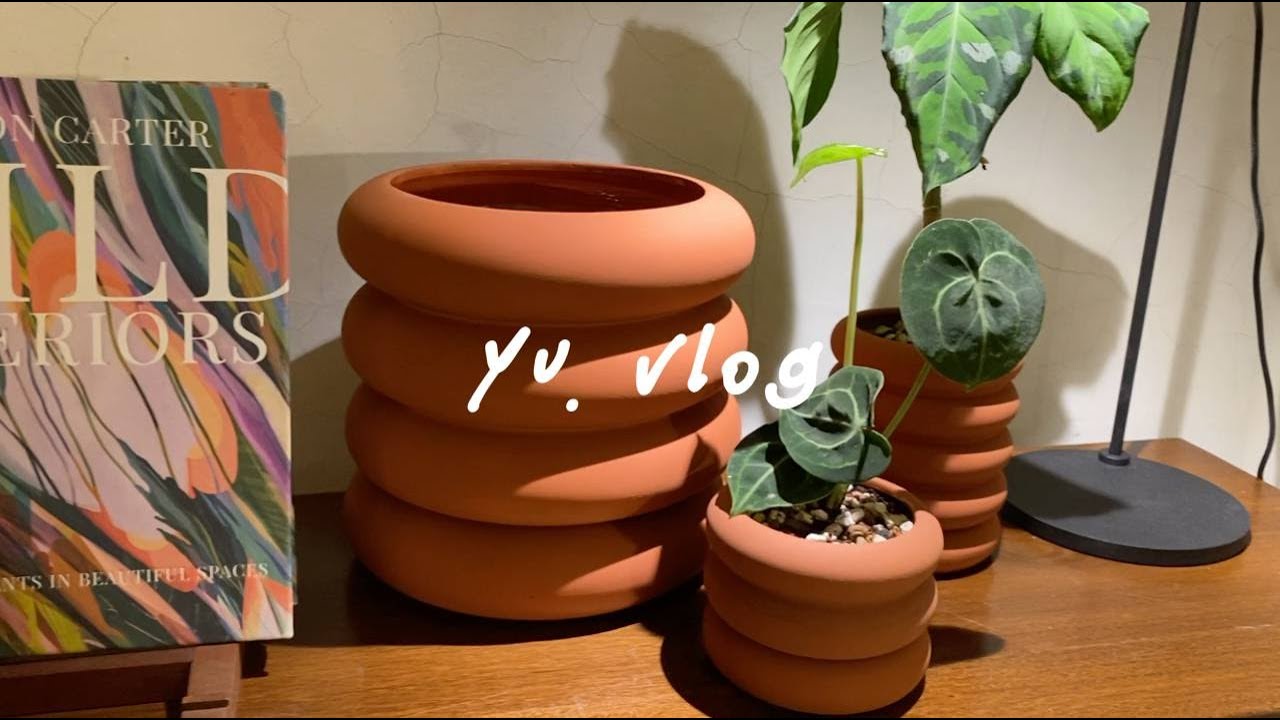 ep28 yu vlog｜植物開箱📦，逛mrs. inoue，幫花交絨蔓綠絨換盆，第二批毬蘭，plant unboxing，