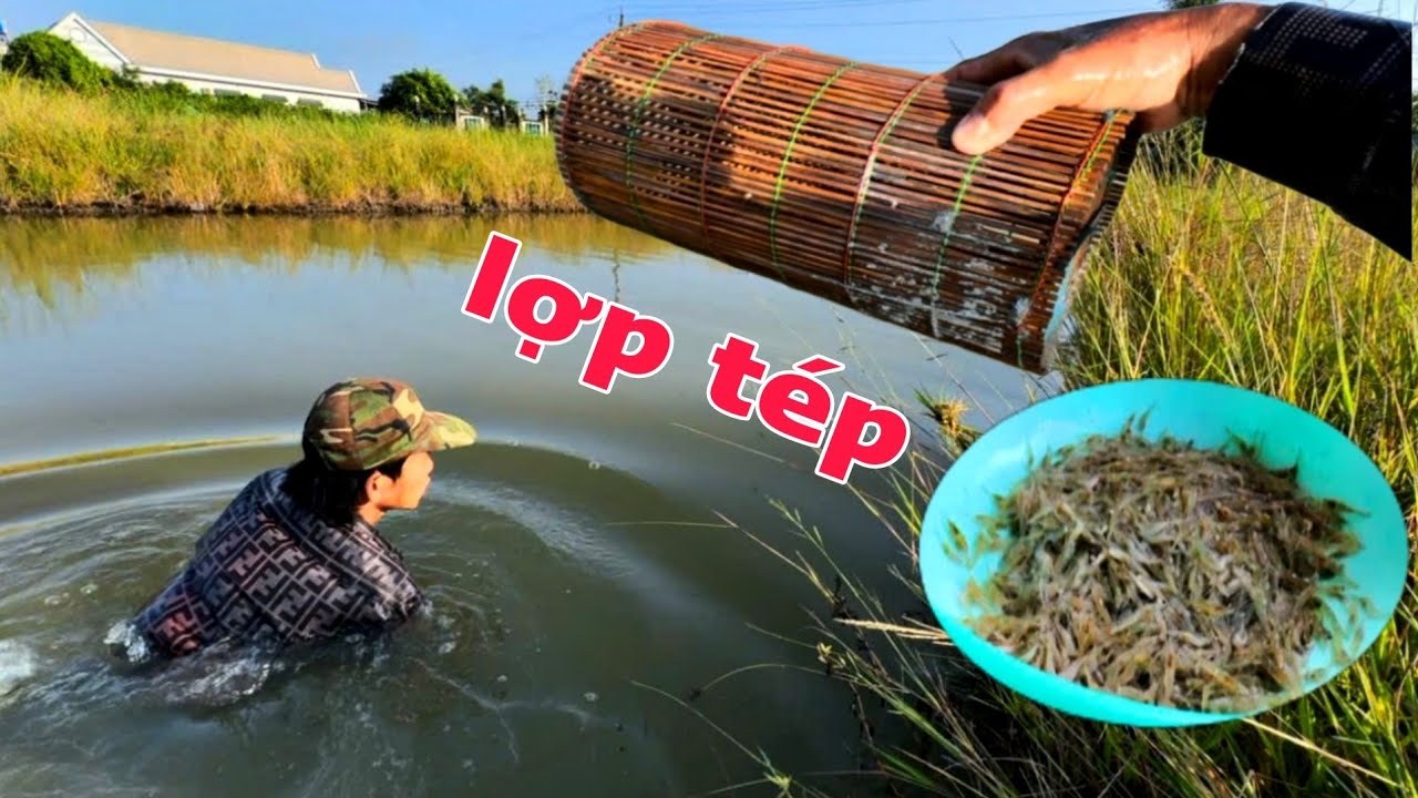 Thăm Lợp Tép Bò 6 Giờ Sáng Lạnh Chịu Không Nổi