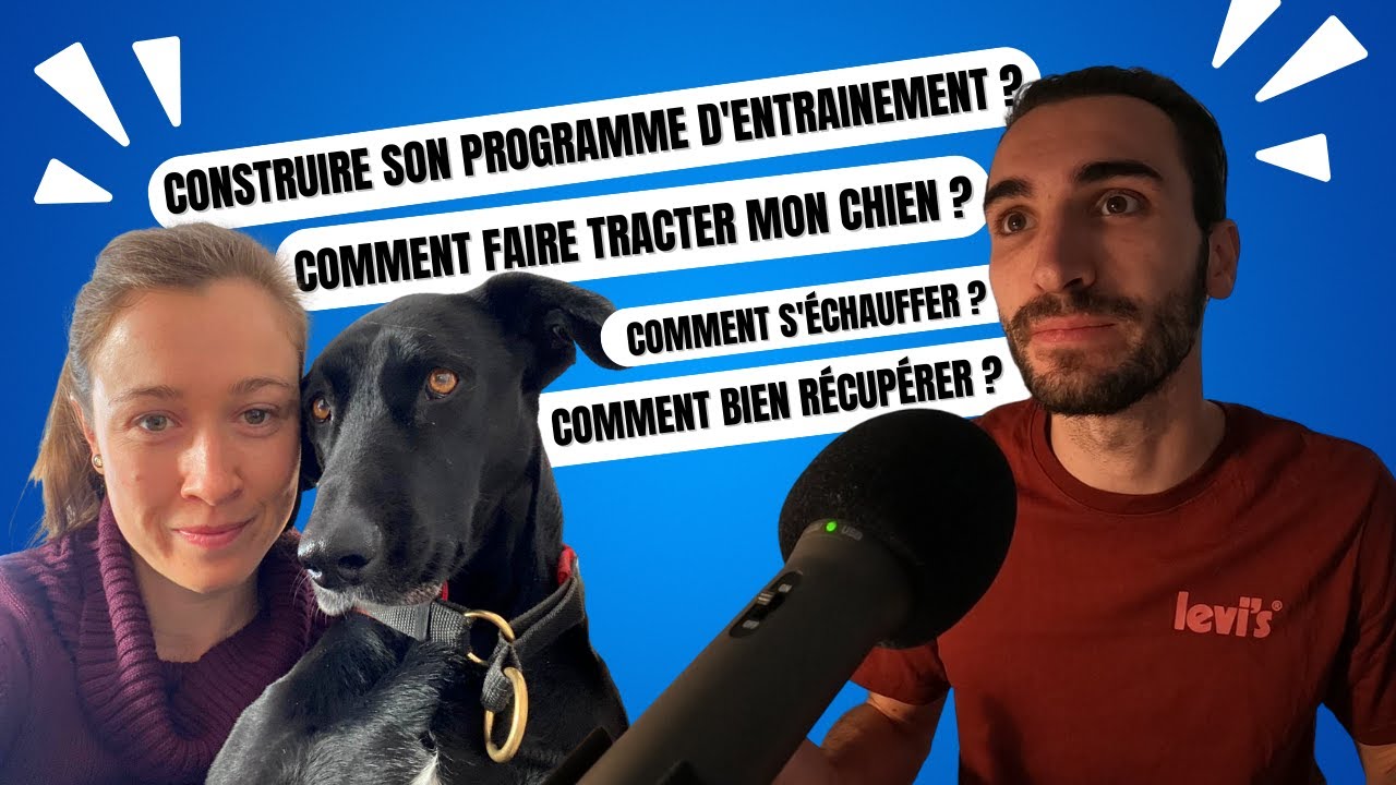 LES RÉPONSES À TOUTES VOS QUESTIONS SUR LE CANICROSS !