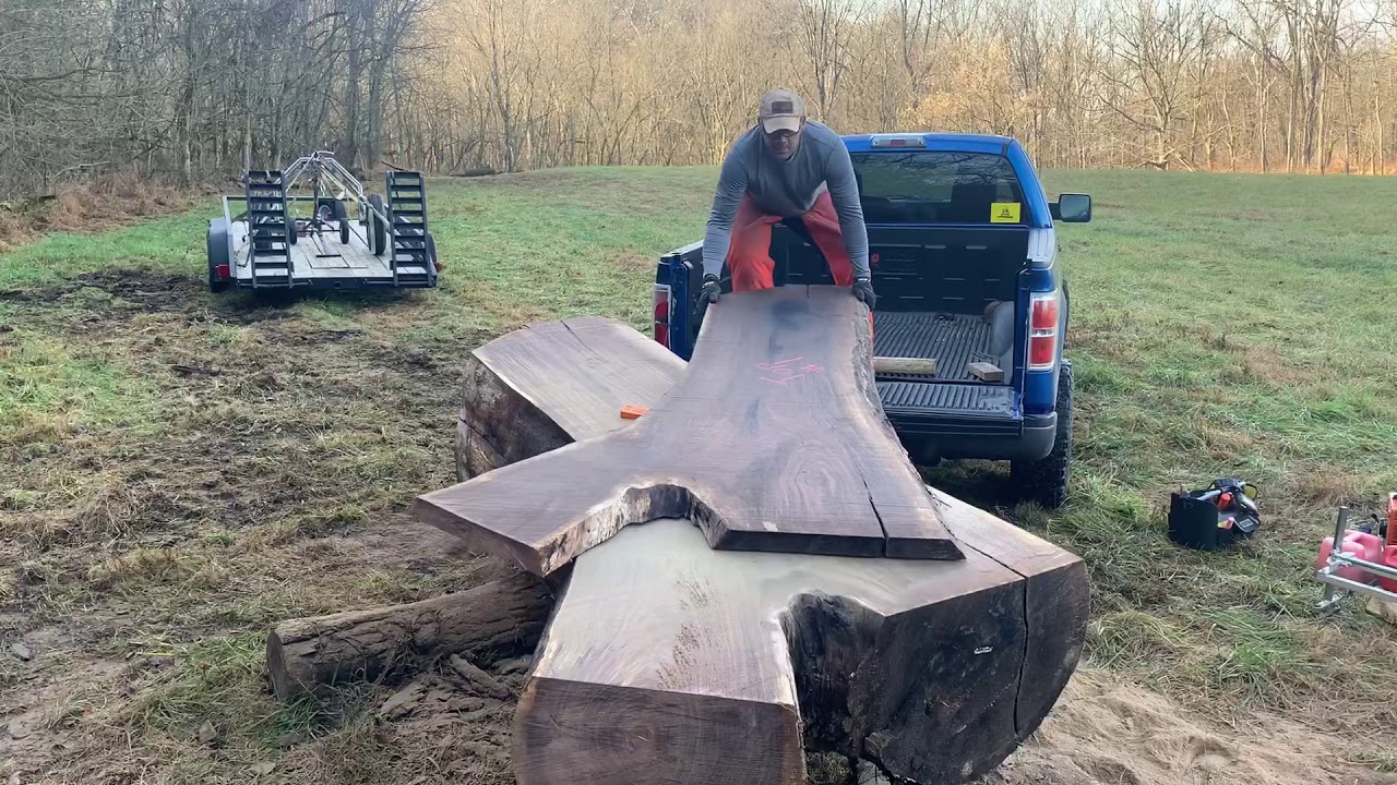 Big walnut chainsaw milling
