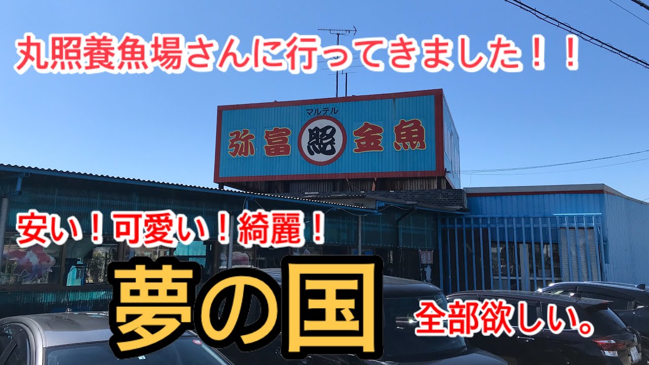 丸照養魚場さんに行ってきました！！