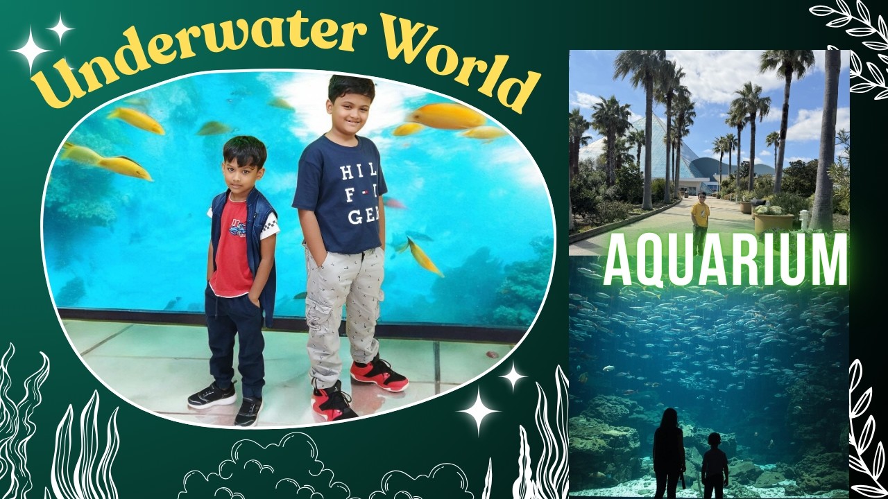 “AQUARIUM ADVENTURE – Sharks, Penguins & More!