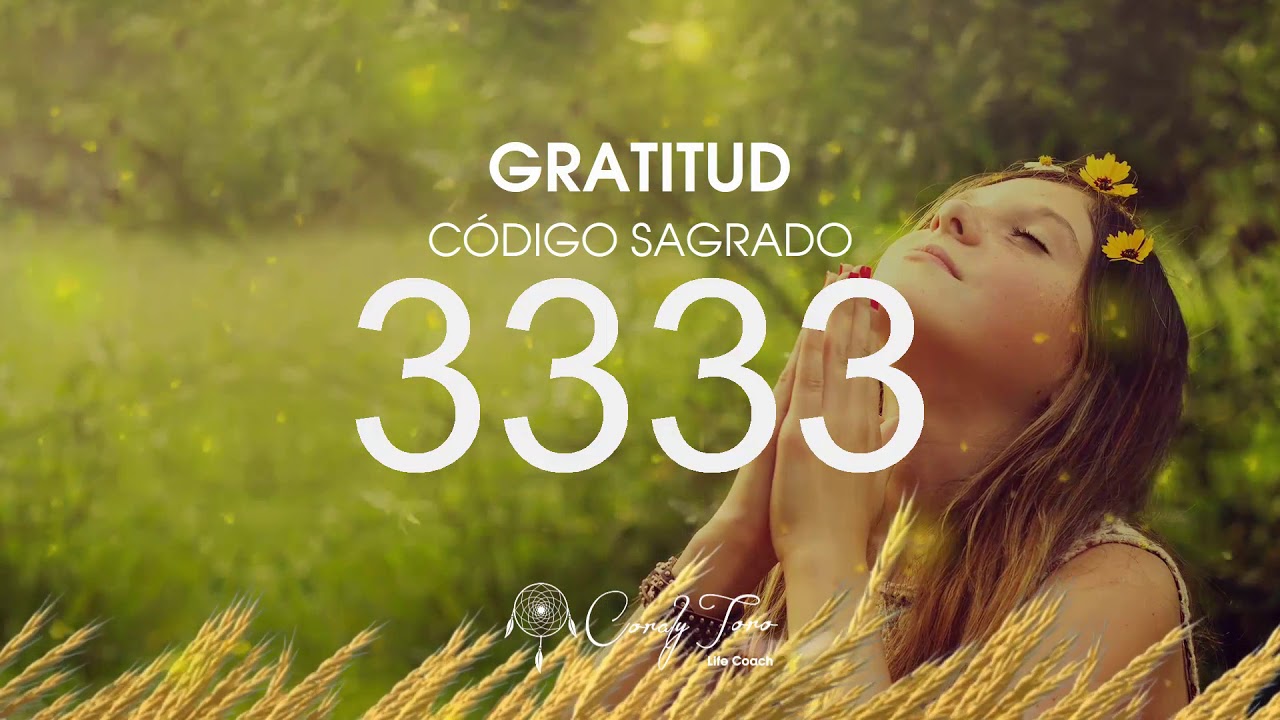 Gratitud con el Código Sagrado 3333