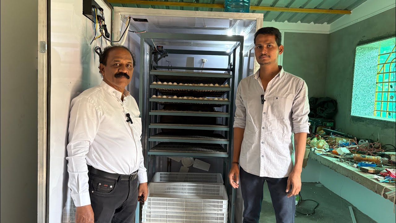 2100 Egg Incubator Installations | low price egg Incubator machine| #farming