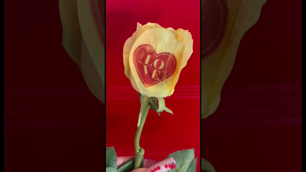 Printing on flowers/valentine/love  