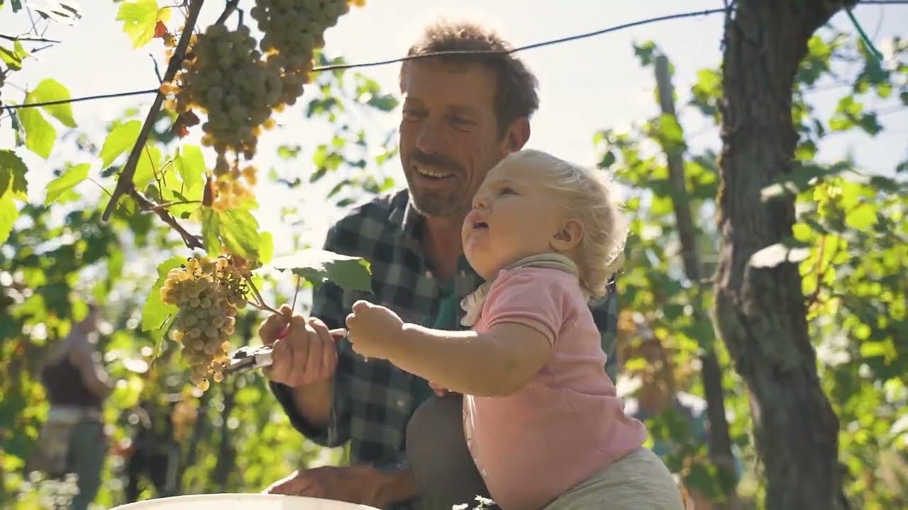 Faedis: storia, natura e gusto
