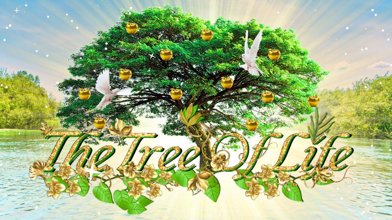 Life More Abundantly On The Throne, Part 11!