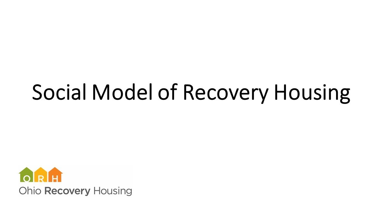 The Social Model of Recovery Across the Levels of Support