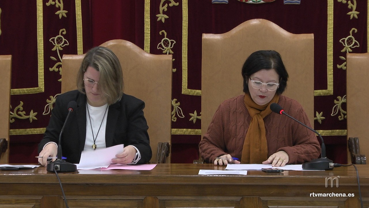 Pleno extraordinario 13-02-2026
