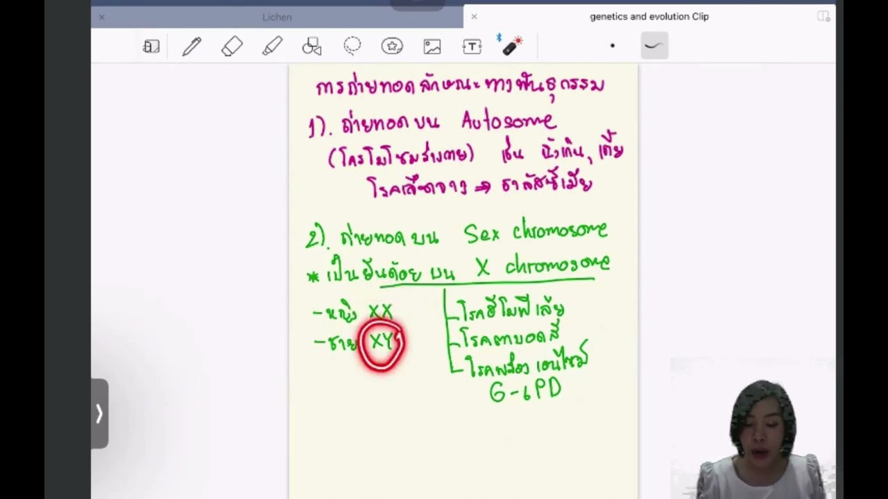 EP.3 ลักษณะด้อยที่ถ่ายทอดบนโครโมโซม X (recessive gene on X chromosome)