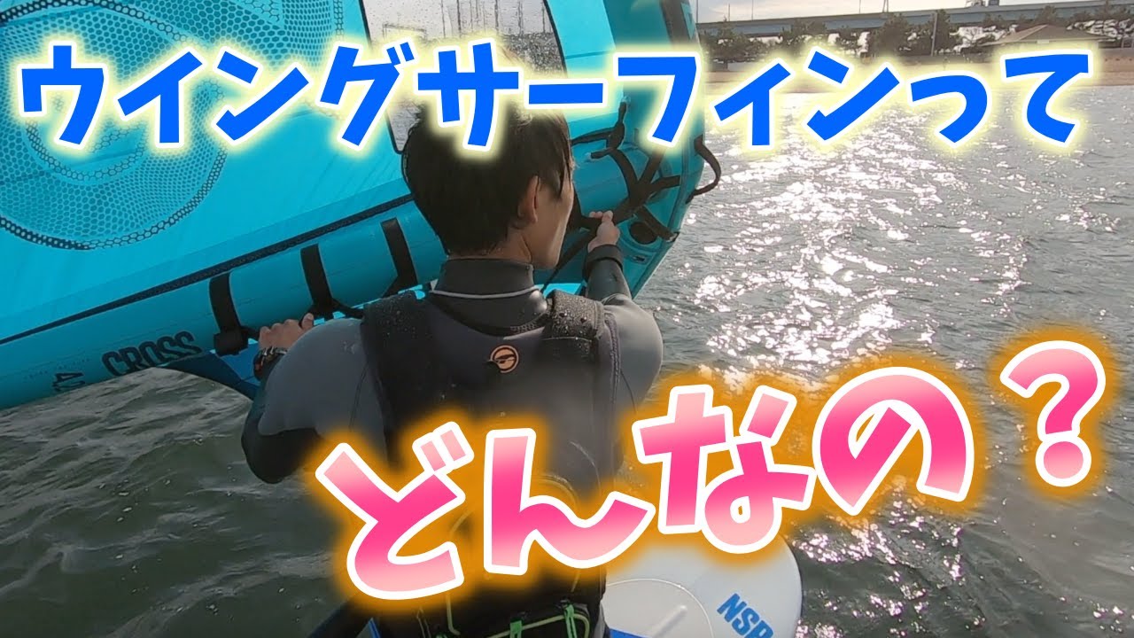 #9 ウイングサーフィンはこんな感じです！背中アングルで撮影してみました。ウイングフォイルのダイナミックさをご覧あれ！@甲子園浜