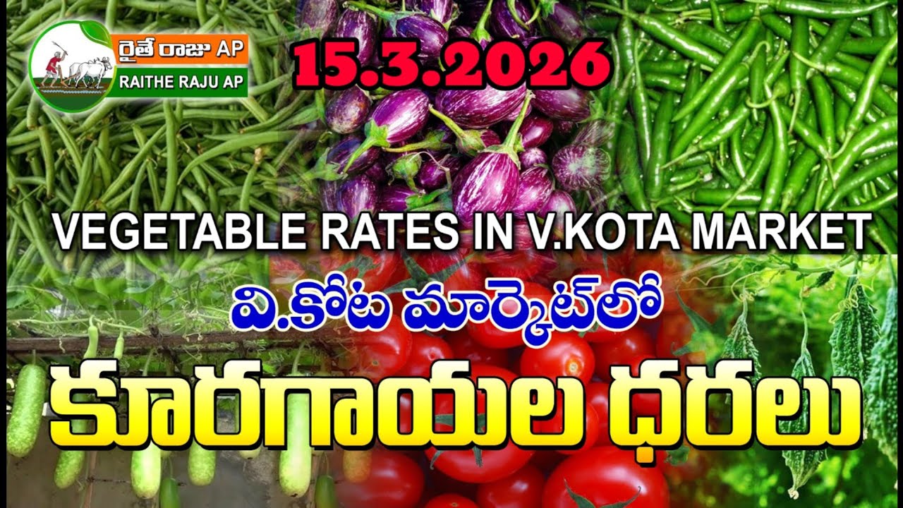 15.03.2026 #all#V.Kota vegetable market ఈరోజు వి కోటకూరగాయల ధరలు.# today vegetable prices in market