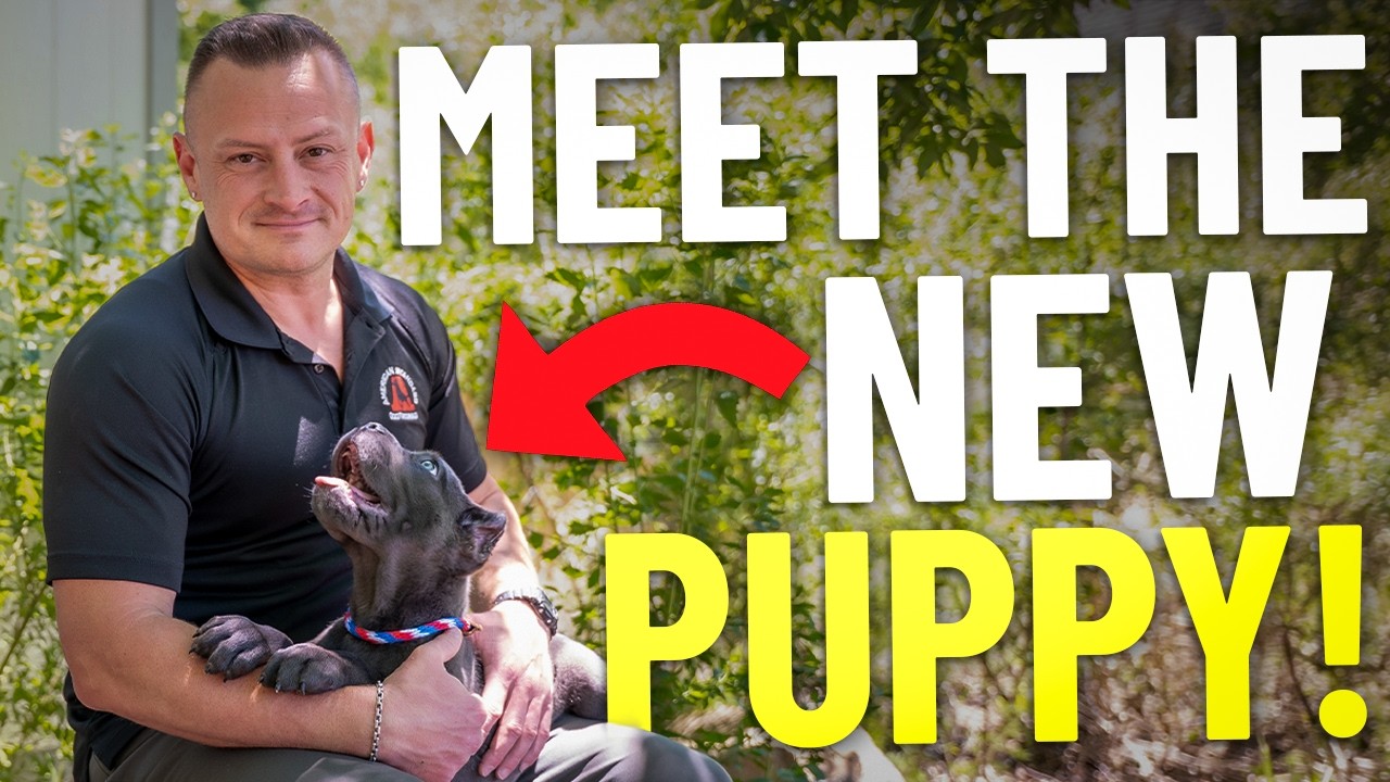 We Just Brought Home Our New Puppy&hellip; Here&rsquo;s The Plan