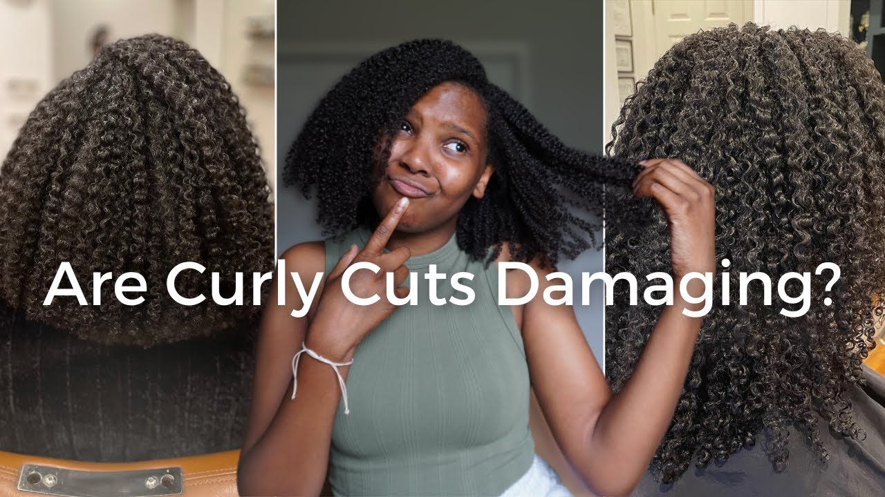 Are Curly Cuts Damaging? | My Experience with Curly Cuts