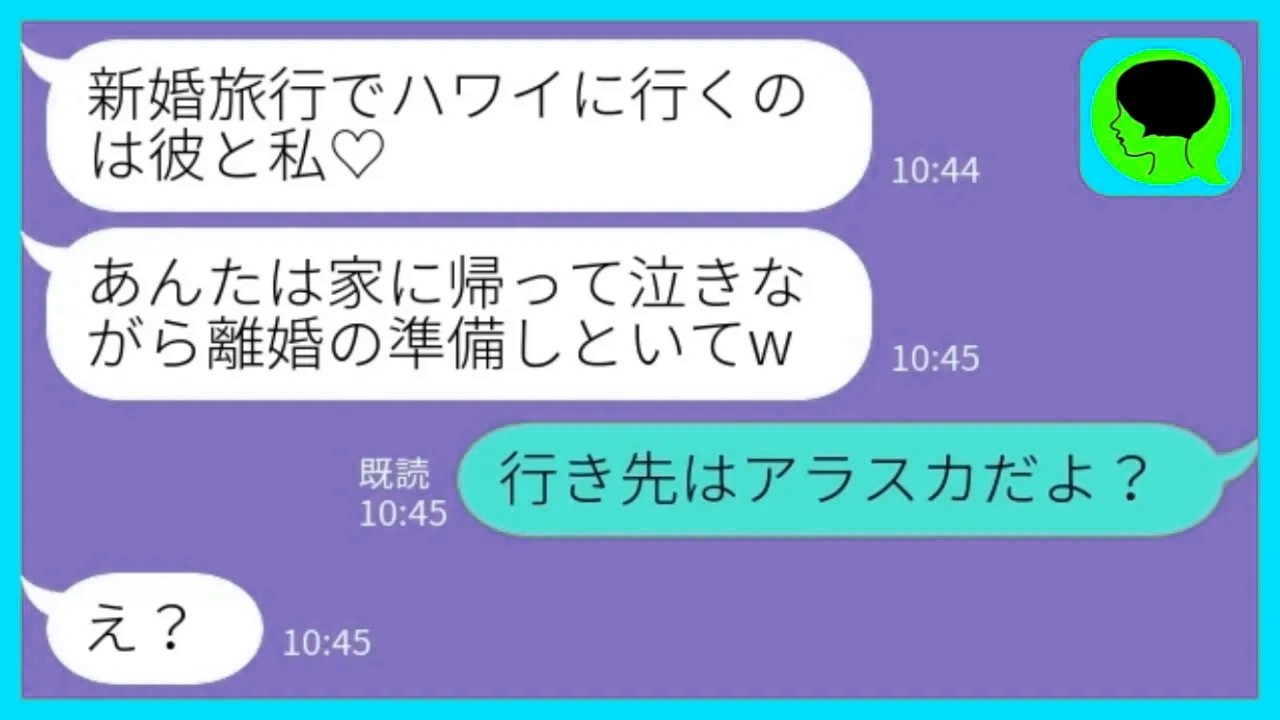 【LINE】新婚旅行で搭乗の1分前に新郎を奪って駆け落ちした幼馴染から勝利宣言「ハワイに行くのは彼と私♡」私「行き先はアラスカだよ…？」→宿泊先を知った幼馴染のその後www