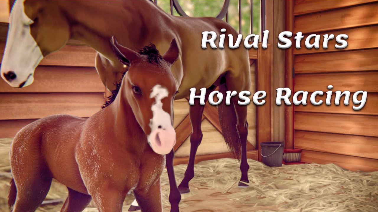 Rival Stars Horse Racing. Новые жеребята + выполнила все ежедневные задания