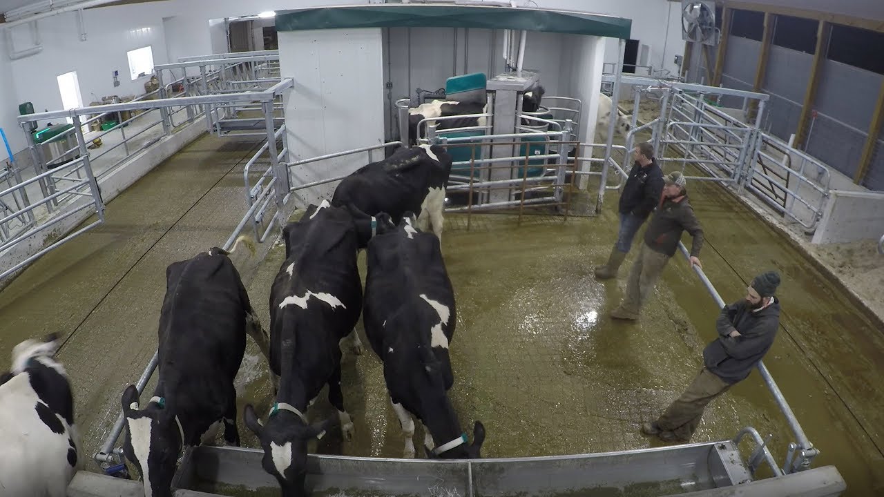Comrie Farms GEA Monobox Start-up