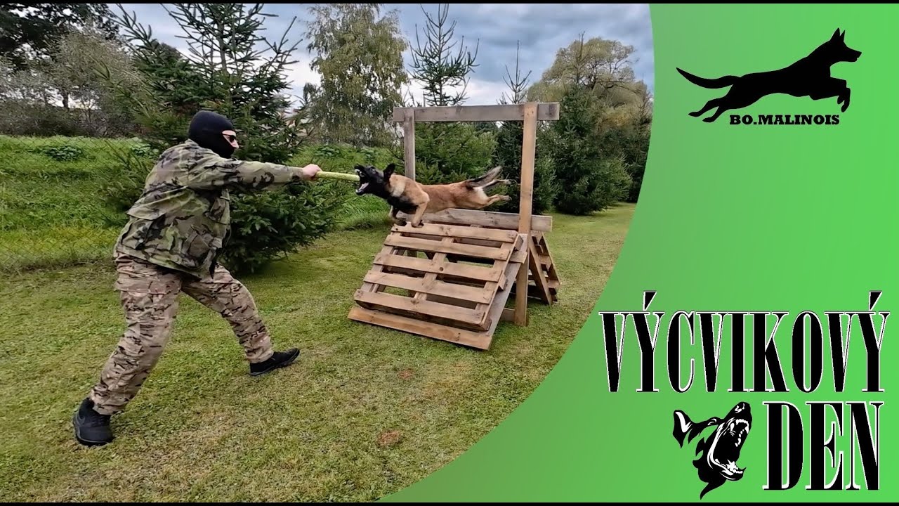 Výcvikový den