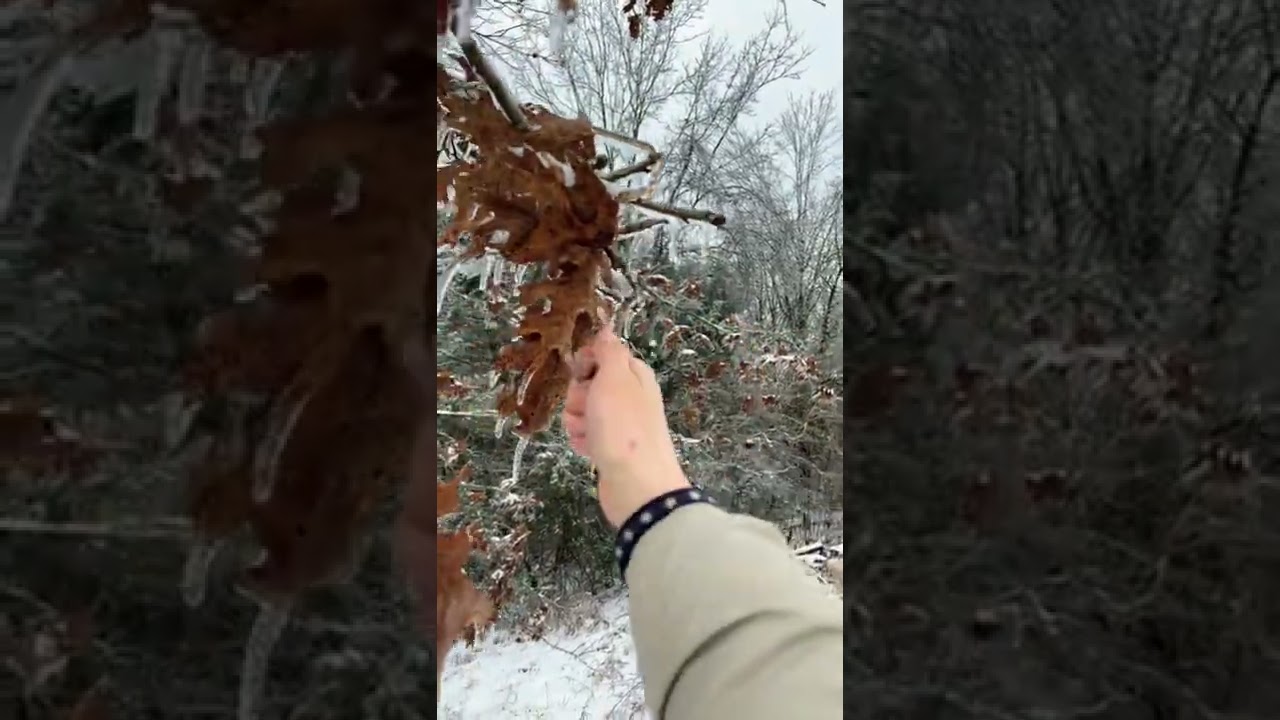 Kentucky Ice Storm 2022! 