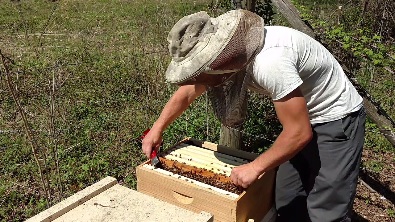 Package vs Nuc Challenge part 5-b