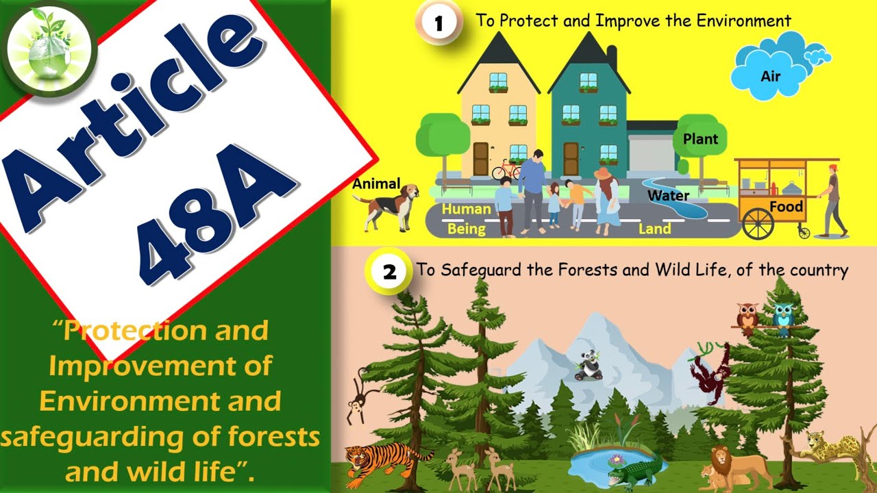 Article48A of Indian Constitution|42nd Amendment Act1976|Stockholm Conference1972|Article 51A,21,253