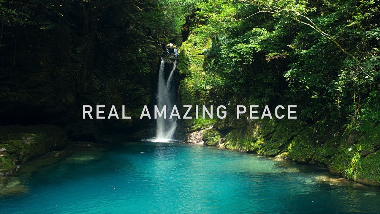 REAL AMAZING PEACE  - VISIT KOCHI JAPAN