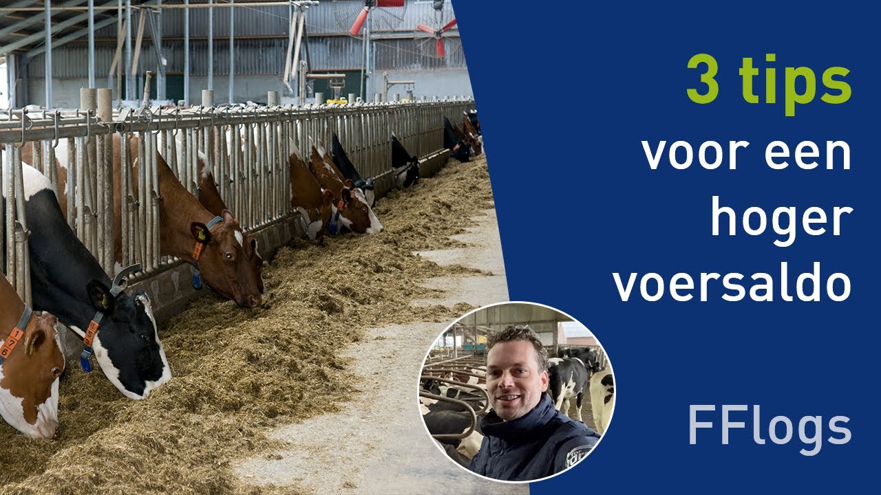 Praktische tips om direct je voersaldo te verhogen