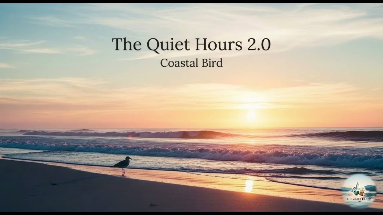The Quiet Hours 2.0 - Coastal Bird #relaxingmusic 