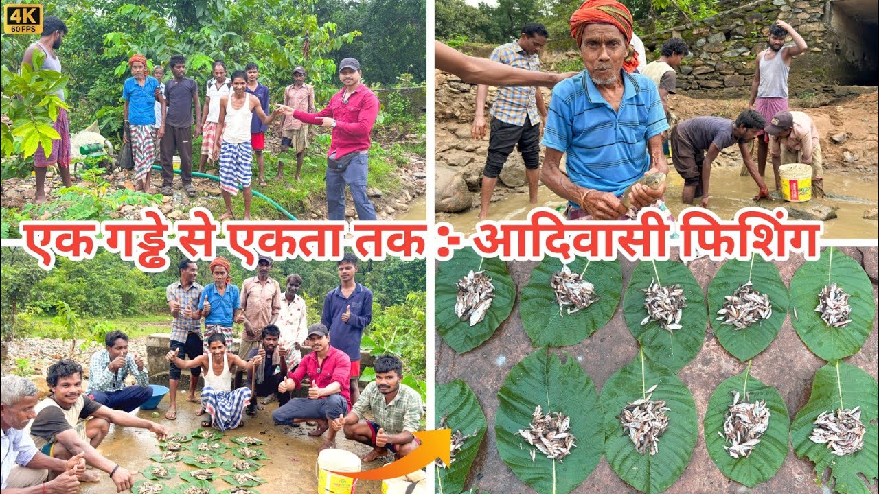 एक गड्ढे से एकता तक 🌿 | आदिवासी गाँवों की पारंपरिक फिशिंग 🎶🐟 || Tribal Fishing 🐠|