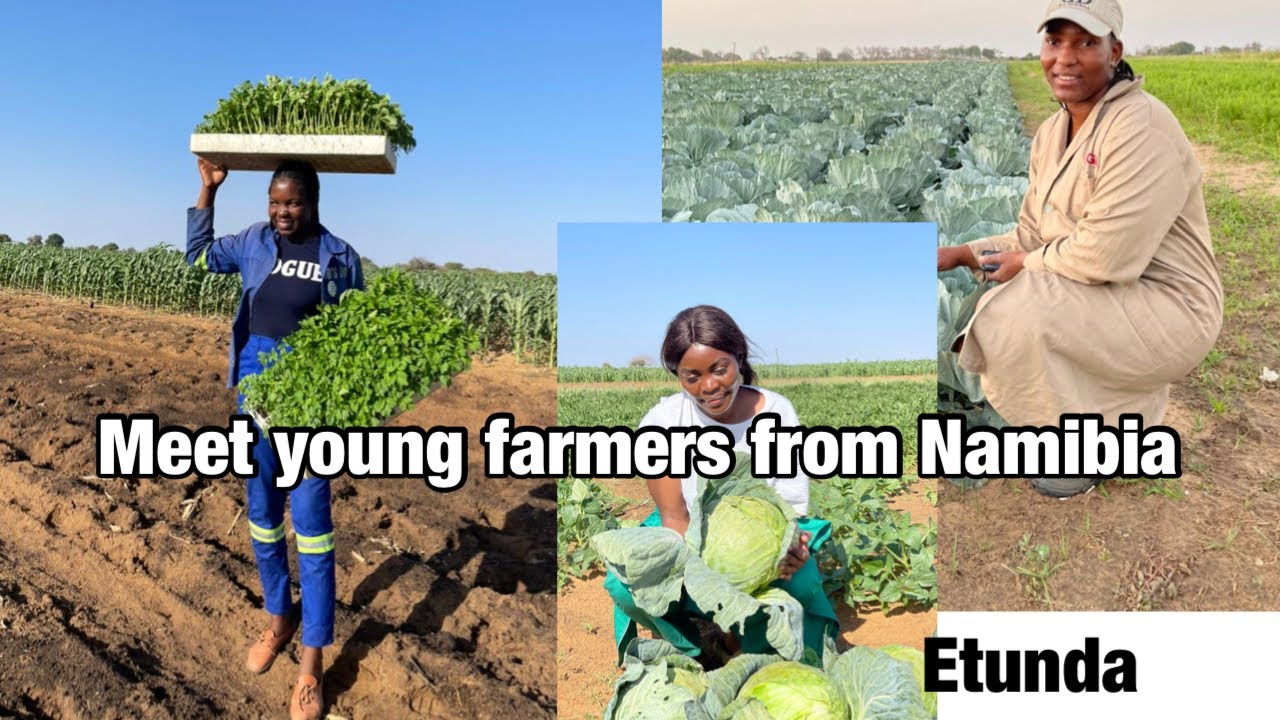 Farming in Namibia part 2| Meet Young Farmers from Namibia| Namibian youtuber