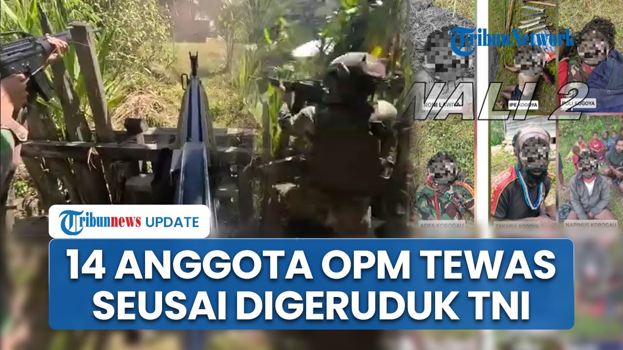 14 Anggota OPM Tewas seusai Pasukan TNI Geruduk Markas di Intan Jaya Papua, Video Penyergapan Viral