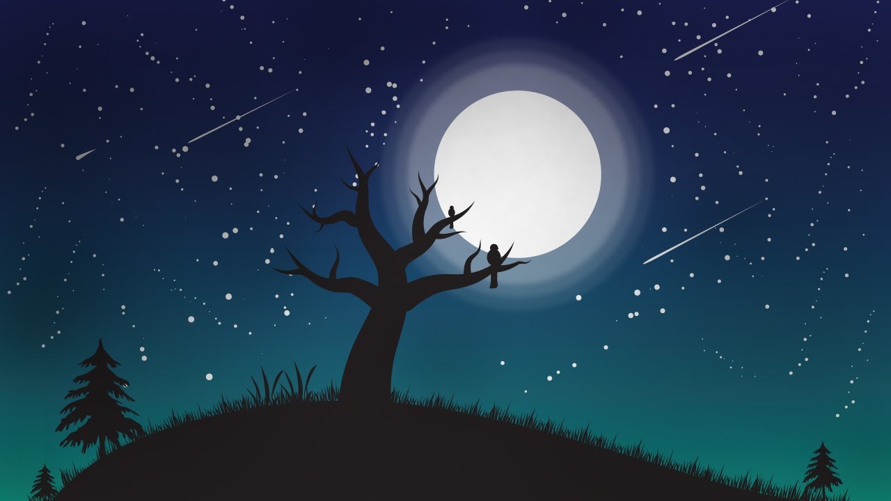 Night sky illustration | illustration in illustrator