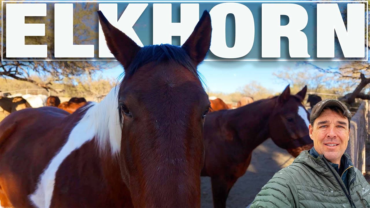 Scenic Arizona Ranch Trail Walk 🌵 Relaxing Virtual Nature Experience - 4k City Walks