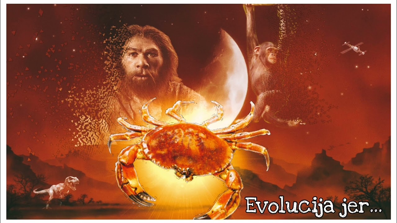 Kosmej - Evolucija jer