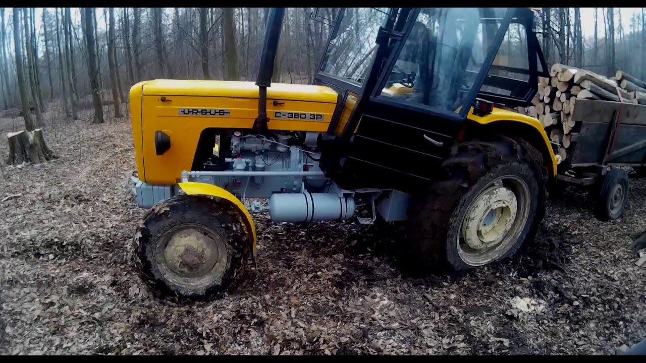 🔥Wycinka drzew nad rzeką🔥Ursus C-360-3P w akcji🔥PODKARPACIE🔥