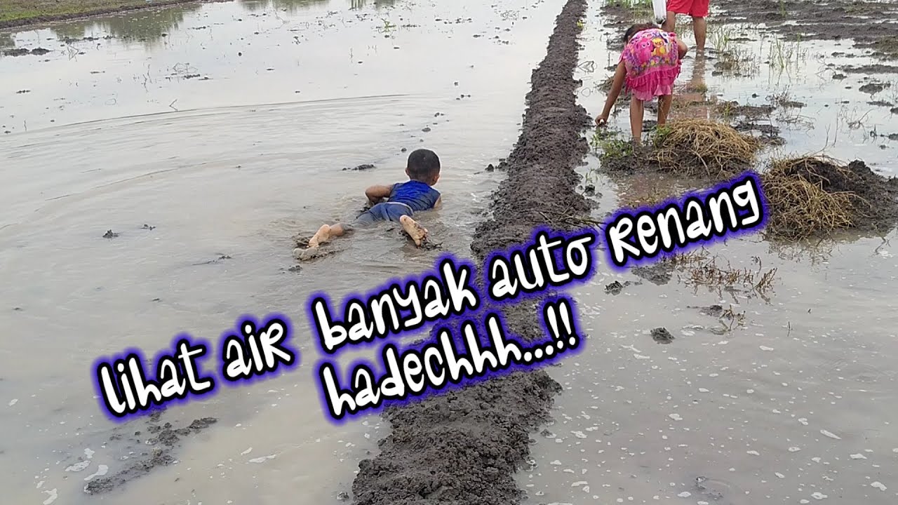 Renang di sawah..🤦|| vlog pertama cari keong di sawah lihat air banyak auto renang alias ciblon