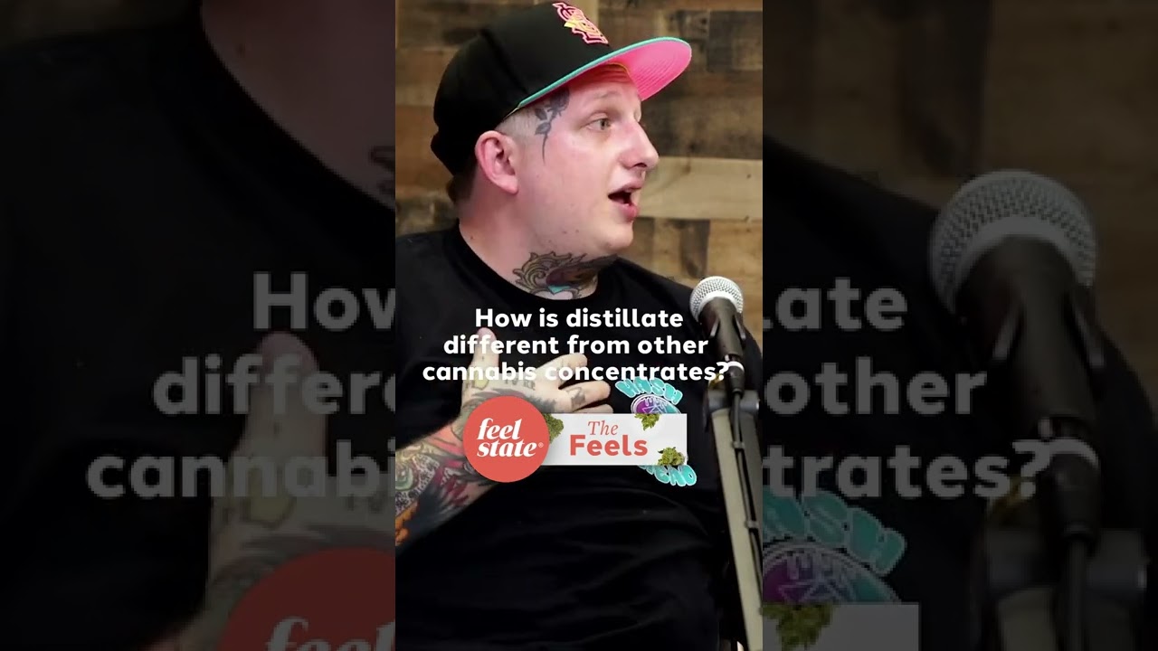 How is distillate different from other cannabis concentrates? Clip from The Feels S3E3, Cory Sanson