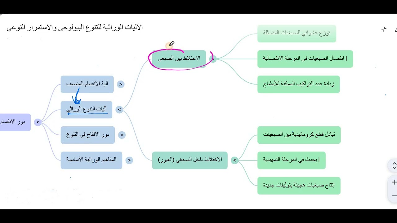 الخريطة الذهنية لدرس دور الانقسام المنصف والالقاح في التنوع الوراثي للأفراد
