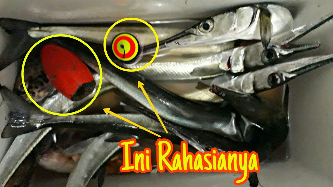 Trik Rahasia Mancing Ikan Cendro Menggunakan 2 Pelampung, Hasilnya Memuaskan