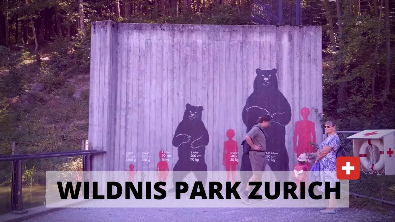 Zürich Wilderness Park Langenberg - Travel Switzerland [4K]