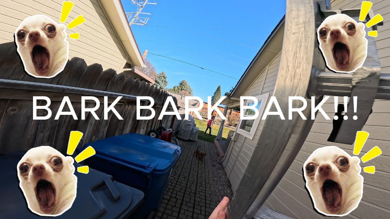 Dog Charged Me While Window Cleaning | Idaho Window Cleaner