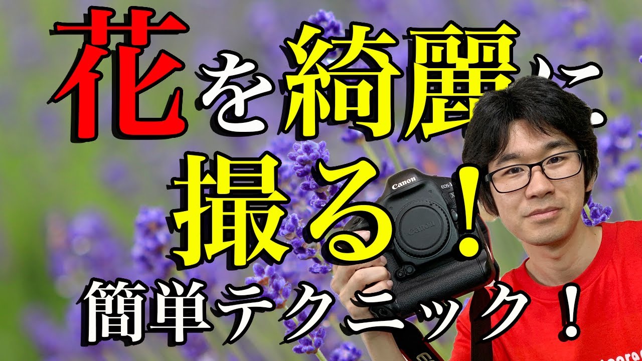 【カメラ初心者必見！】花を綺麗に撮る超簡単テクニック！【北海道写真家】【ラベンダー】