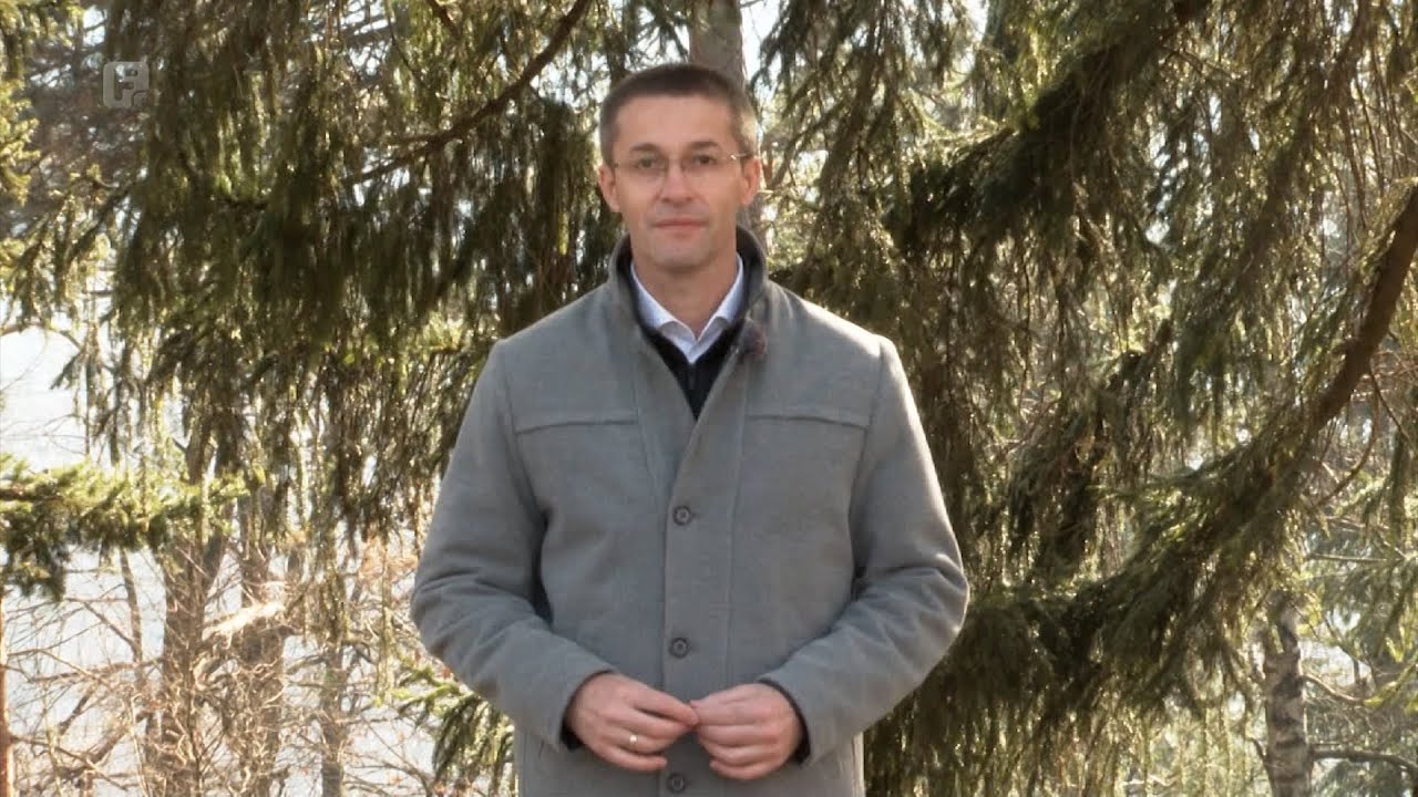 Zelena panorama, 10.03.2024.