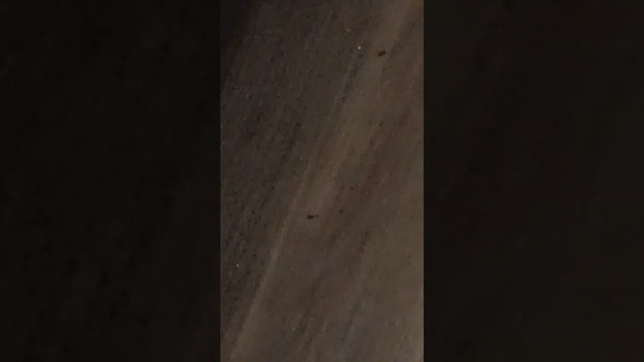 They do move